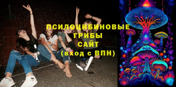 молекула духа Баксан