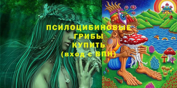 spice Балахна