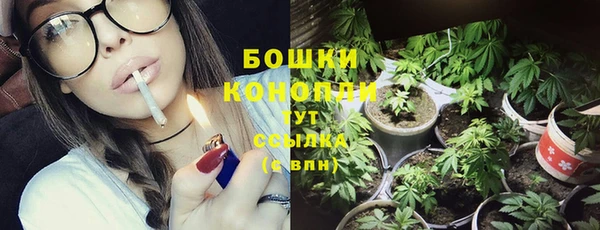 соль ск Балабаново